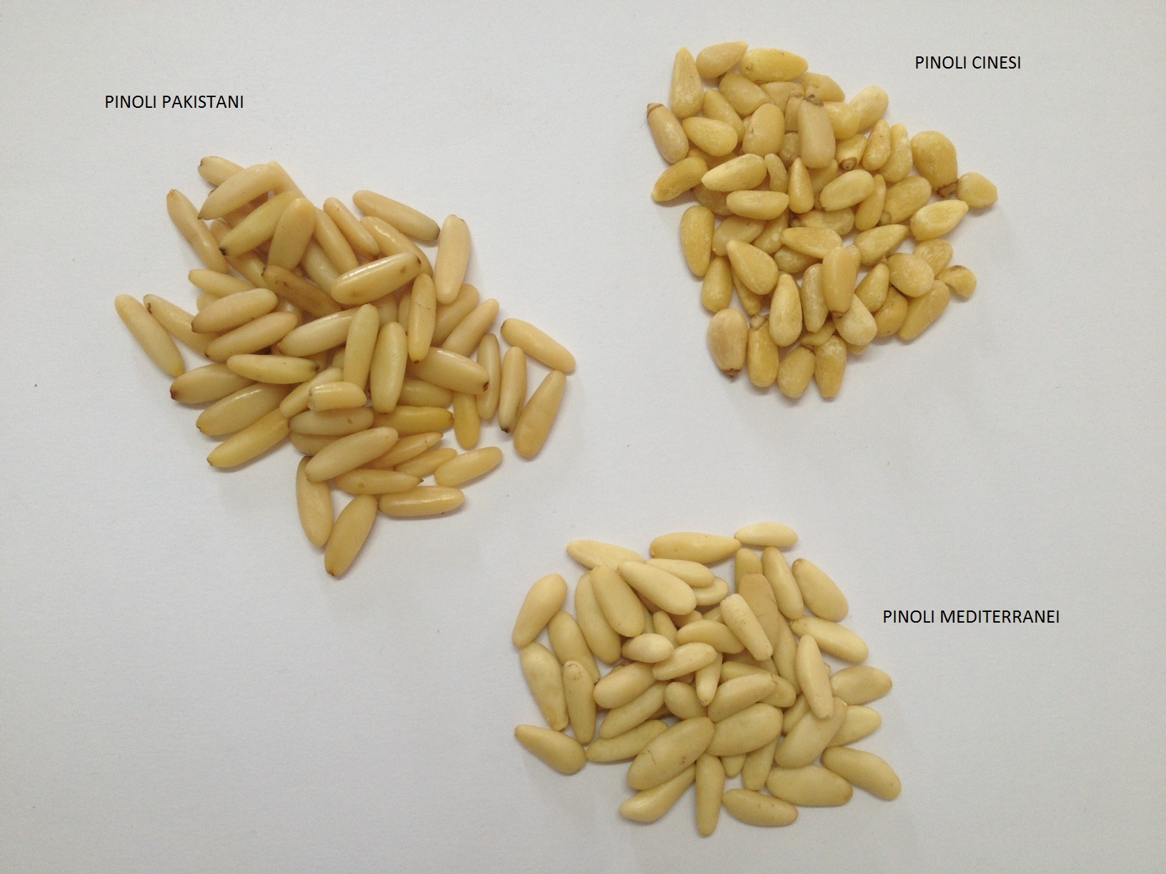 Pinoli provenienti dal Mediterraneo, dal Pakistan e dalla Cina